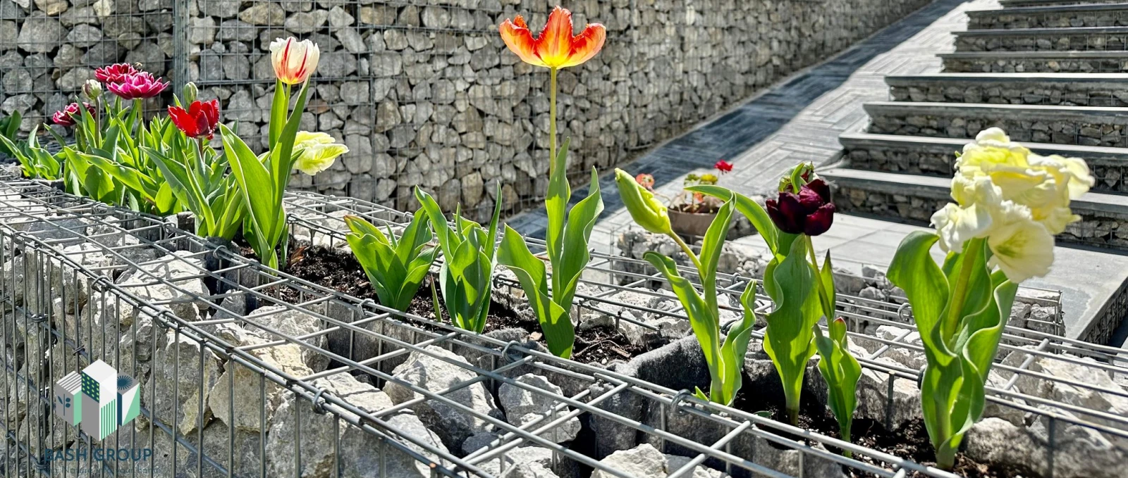 Кашпи от габиони bashgabions